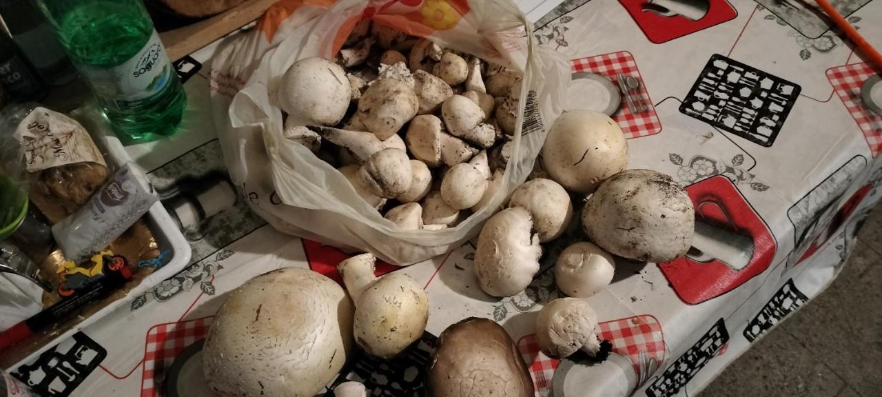 Nonno Severino Frühstückspension *